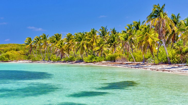 Tropical beach on Isla Contoy