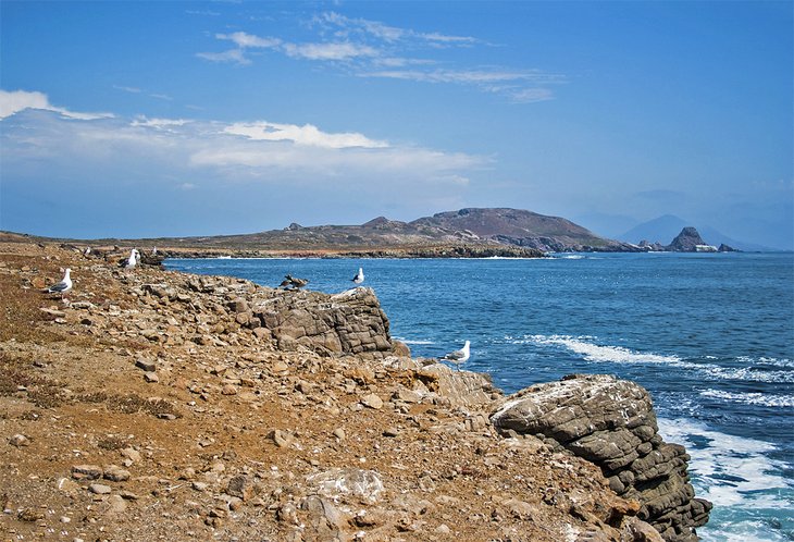 Isla Todos Santos