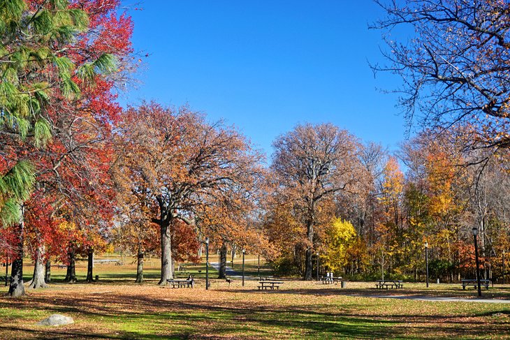 Pelham Bay Park