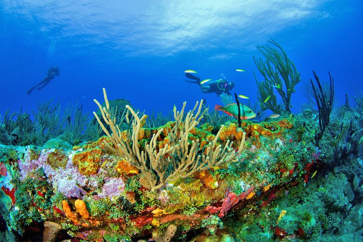 Las 12 atracciones turísticas mejor calificadas en Bonaire, Saba y St. Eustatius