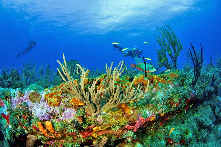 Diving in Statia National Marine Park