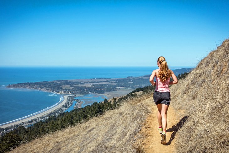 Hiking trail above Stinson Beach