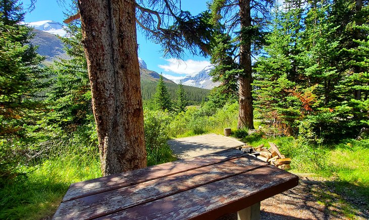 Campsite at the Icefield Tent Campground