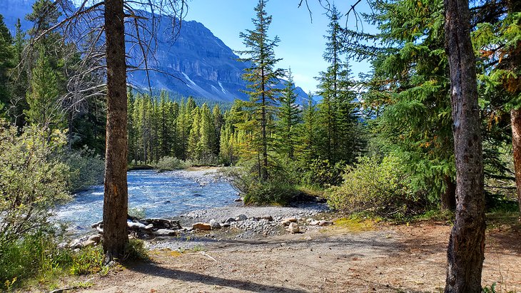 River at Mosquito Campground