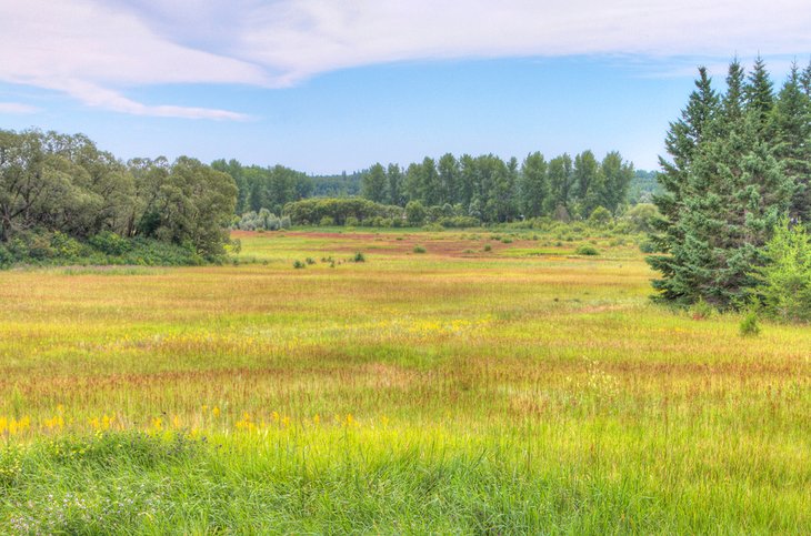 Birds Hill Provincial Park