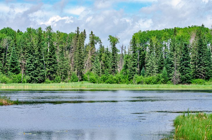 Hickey Lake in Duck Mountain Provincial Park