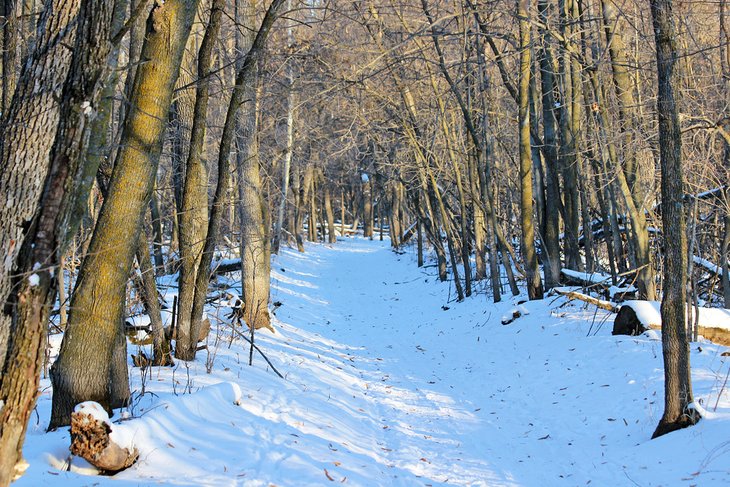 Trail in Beaudry Provincial Park