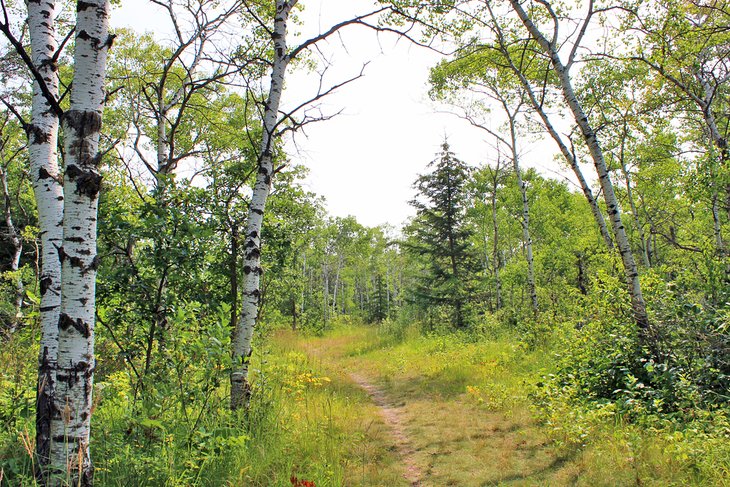 Birds Hill Provincial Park