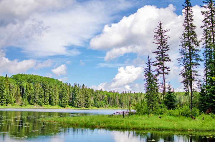 Hickey Lake, Duck Mountain Provincial Park