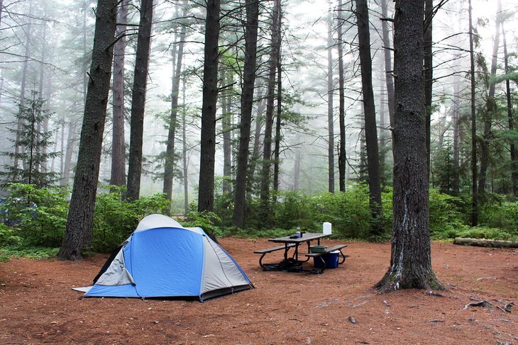 Lake of Two Rivers Campgrounds, Algonquin PP