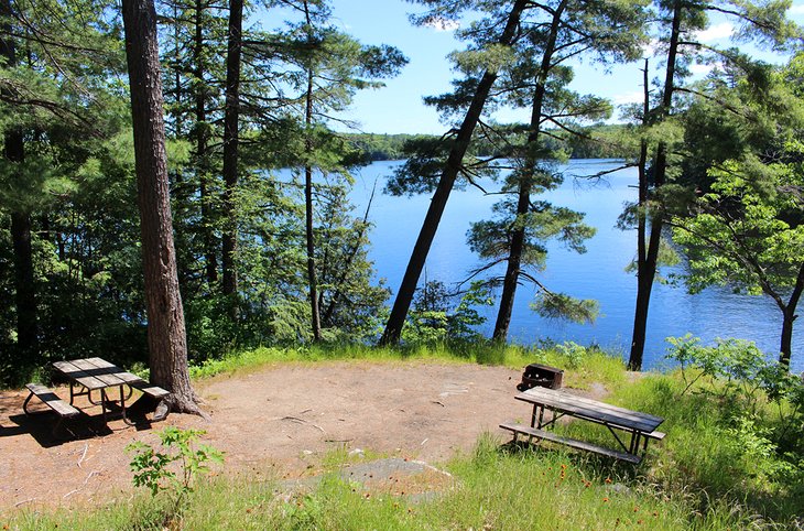 Campsite at Oastler Provincial Park