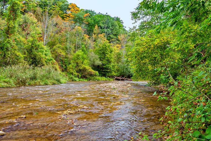 14 mejores lugares para acampar en Ontario