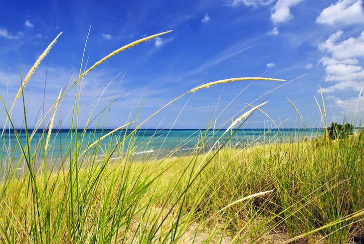 Sand dunes in Pinery Provincial Park