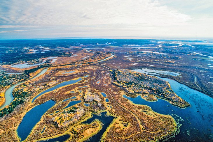 Aerial of Wood Buffalo National Park