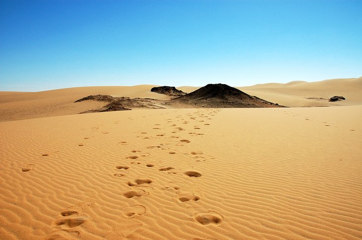 Camel tracks near Dakhla Oasis