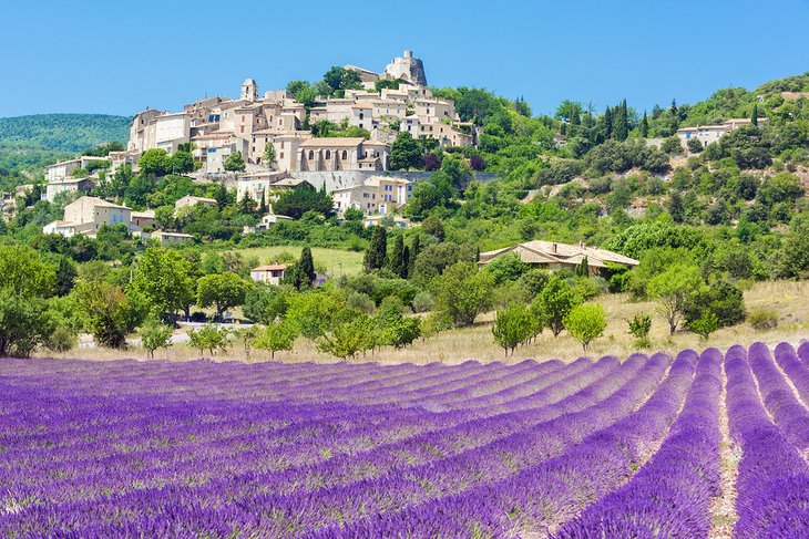 Lavender field in front of Simiane la Rotonde, Provence, France