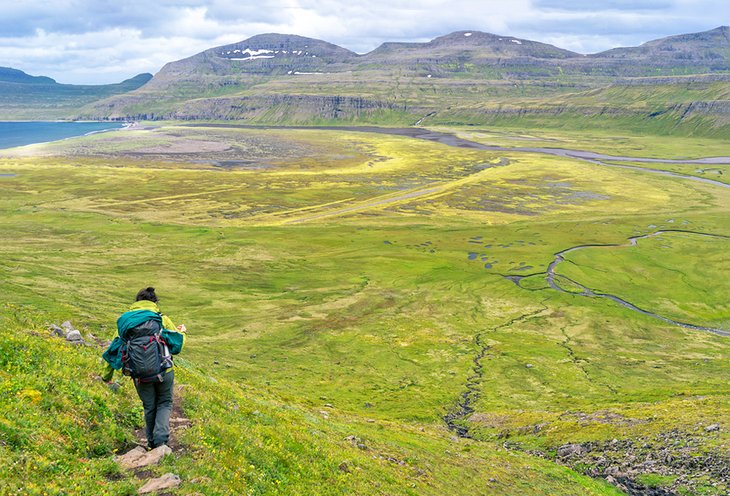 Hiking in Hornstrandir Nature Reserve