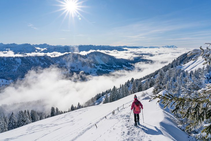 Snowshoer in Bregenzerwald