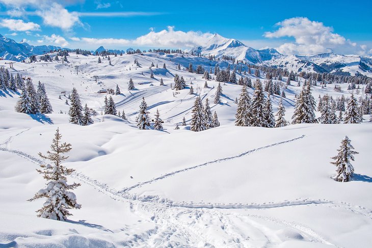 Chamonix-Mont Blanc Tourist Attractions In 2023 Les Houches Ski Resort