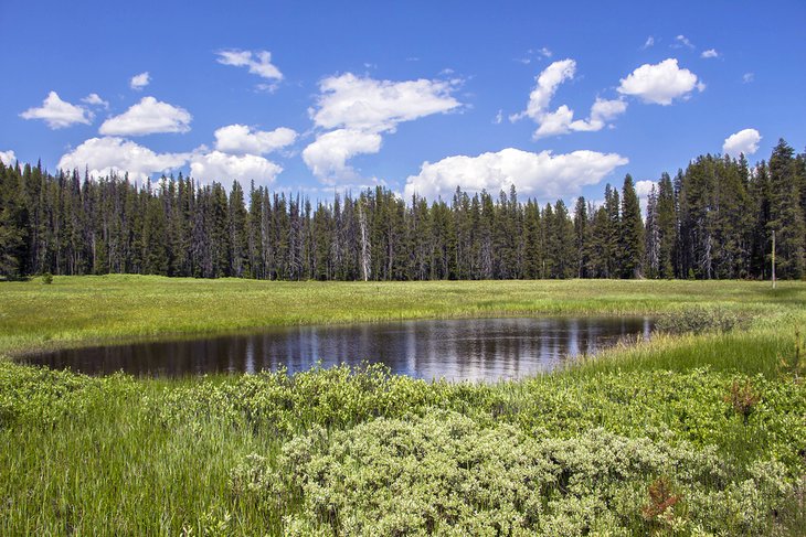 Boise National Forest