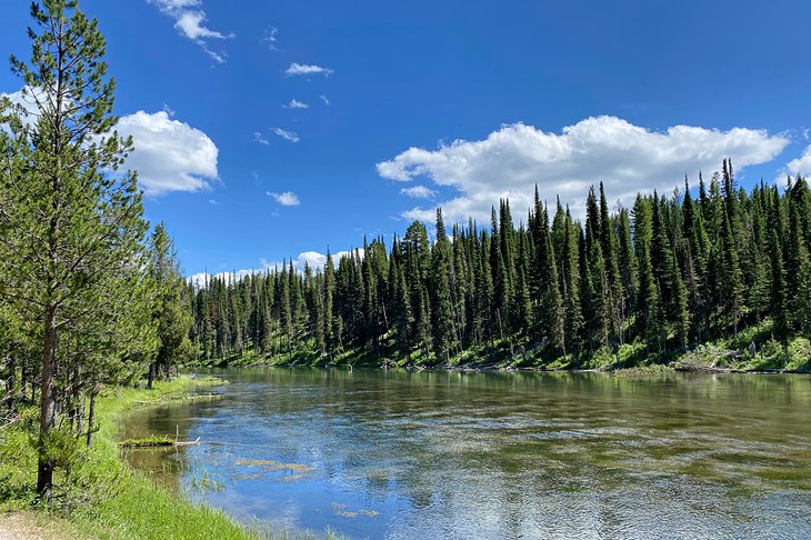 Caribou-Targhee National Forest