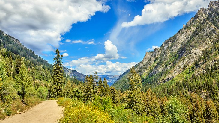 Gravel road in Payette National Forest