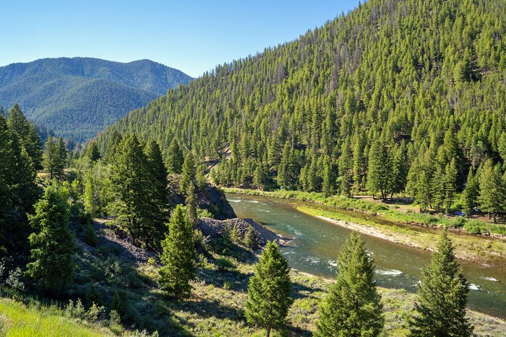 Salmon River in Salmon-Challis National Forest