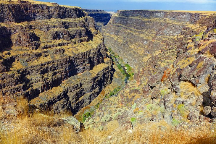 Bruneau River Canyon