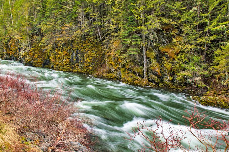 St. Joe River