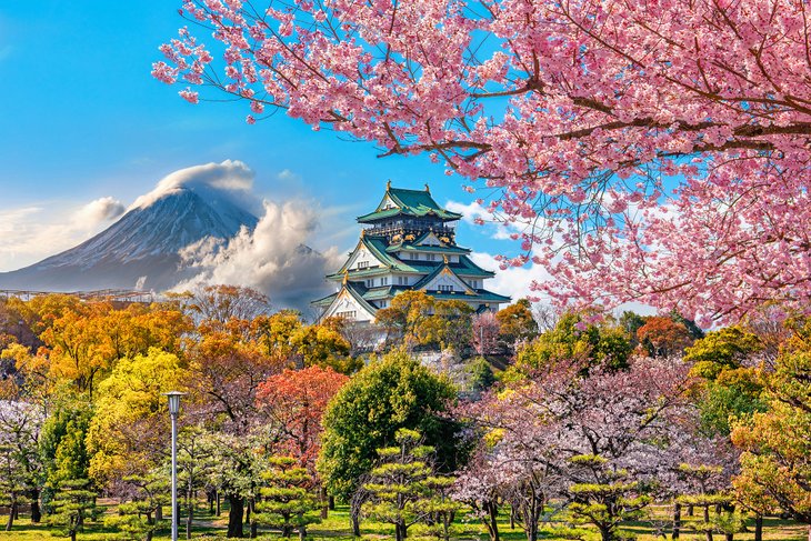 3 main cities to visit in japan