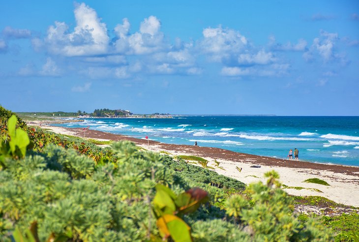 Playa Punta Morena