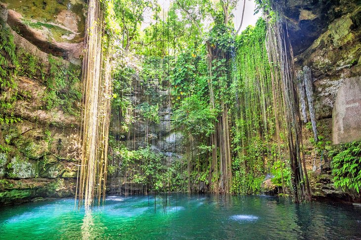 Ik-Kil Cenote on the Yucatan Peninsula