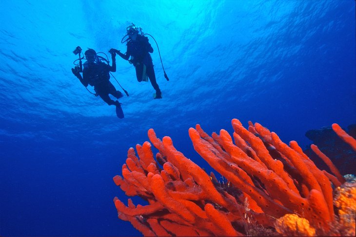 Divers off Cozumel