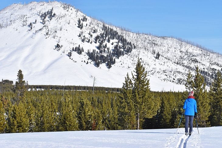 Cross-country skiing in Yellowstone