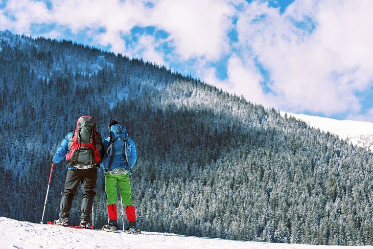 Snowshoeing in Glacier National Park