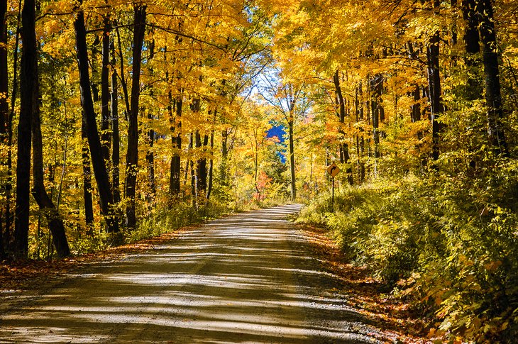 Driving through the Allegany State Park in autumn