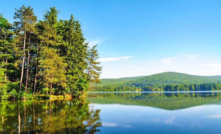 Allegany State Park