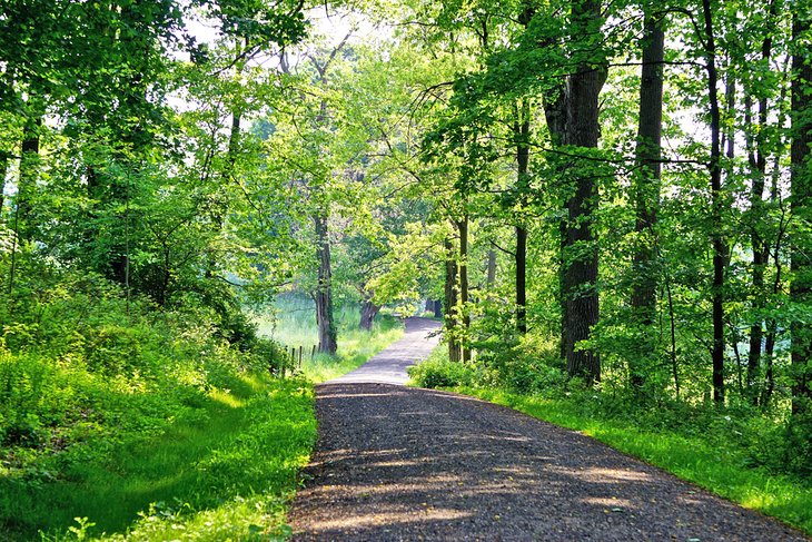 Carriage trail through the forest at the Rockefeller State Park Preserve