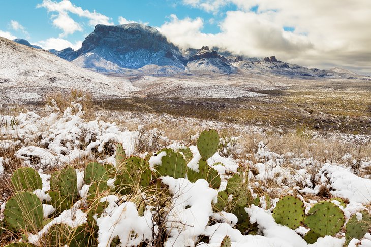 The Chihuahuan Desert and the Chisos Mountains touched with snow