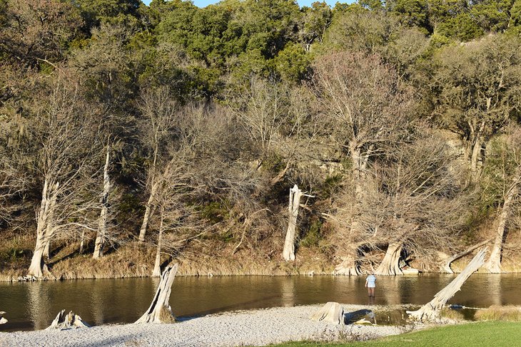 Guadalupe River State Park