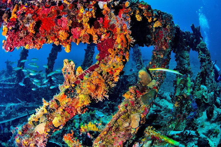 RMS Rhone wreck diving