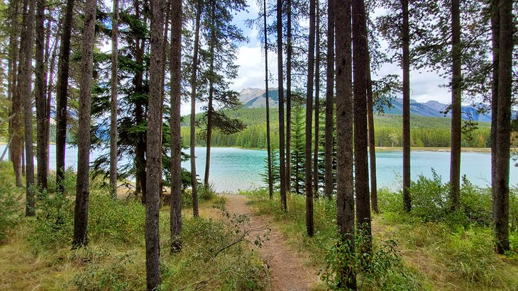 Two Jack Lake Campground (lakeside)