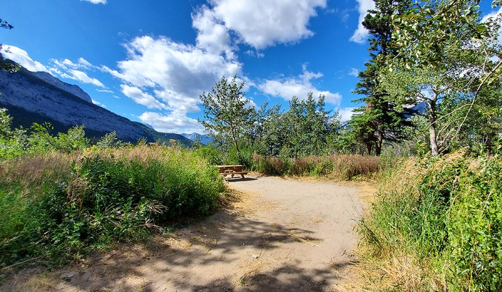 Lac Des Arcs Campground