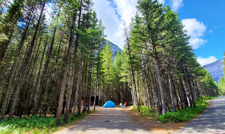 9 mejores campings en Kananaskis Country, Alberta