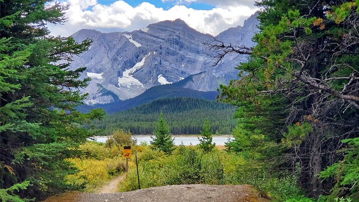 9 mejores campings en Kananaskis Country, Alberta