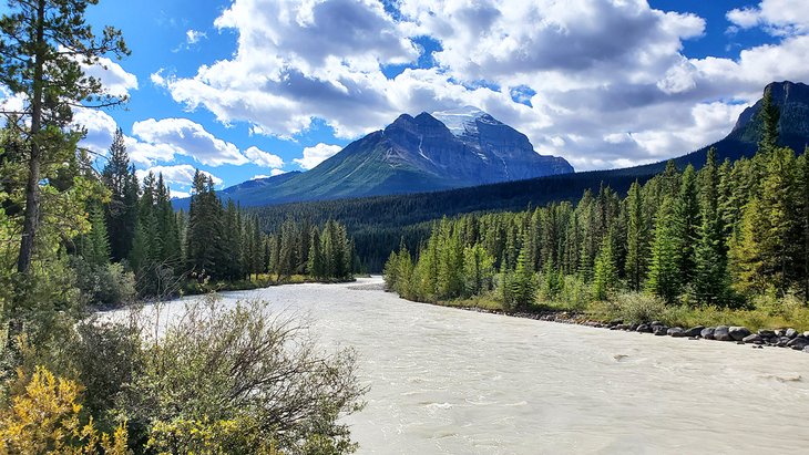 Bow River between Lake Louise tent and trailer campgrounds