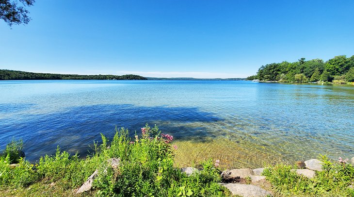 14 mejores lugares para acampar cerca de Toronto