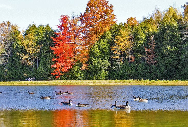 A lake in the Albion Hills