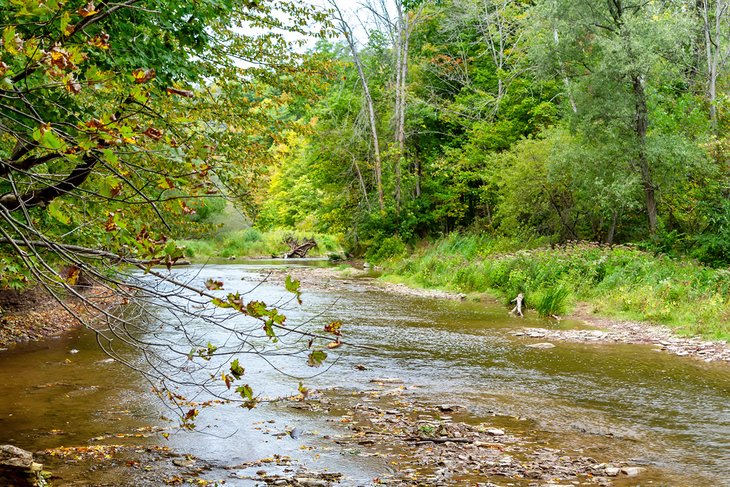 Twelve Mile Creek in Bronte Creek Provincial Park