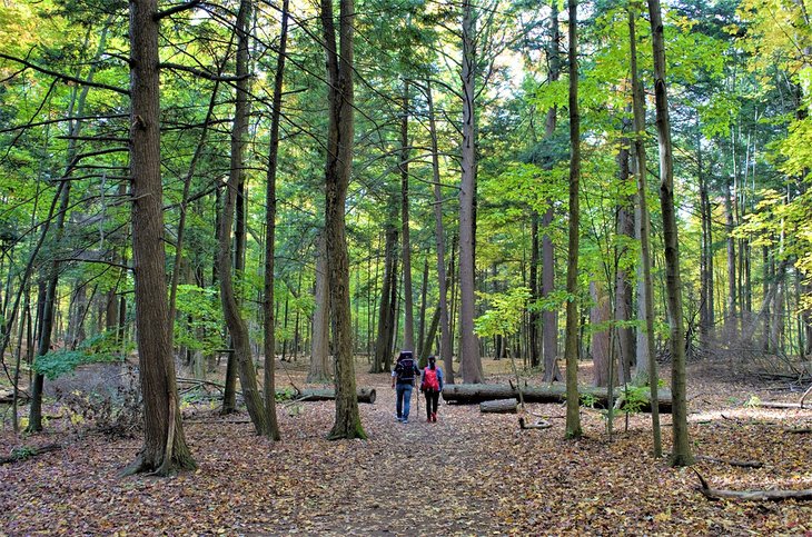 Glen Rouge National Urban Park